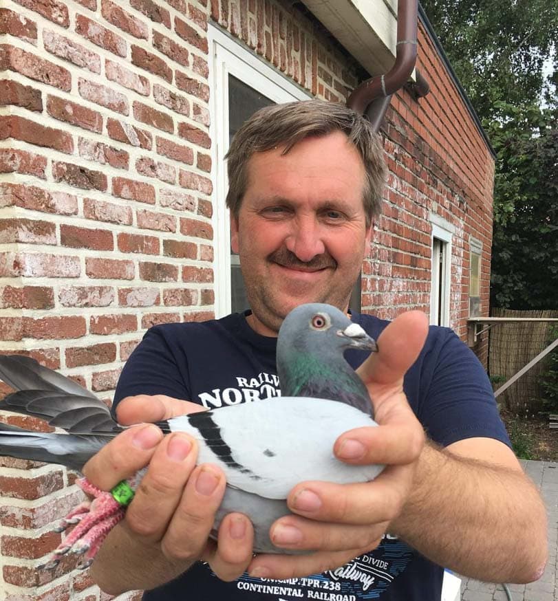 Pigeon Bids Bauters Jo - February 2023