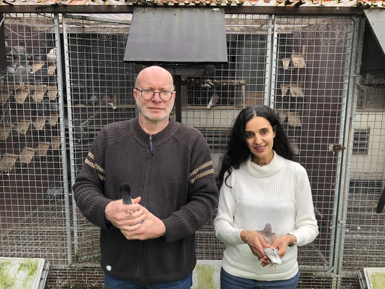 Pigeon Bids Peter Bours Part 2