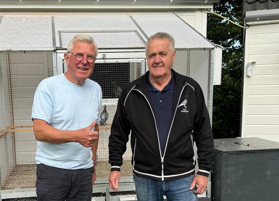 Pigeon Bids "Team Patagoon Zuid" 2024 -  the best Willem de Bruijn loft world-wide.