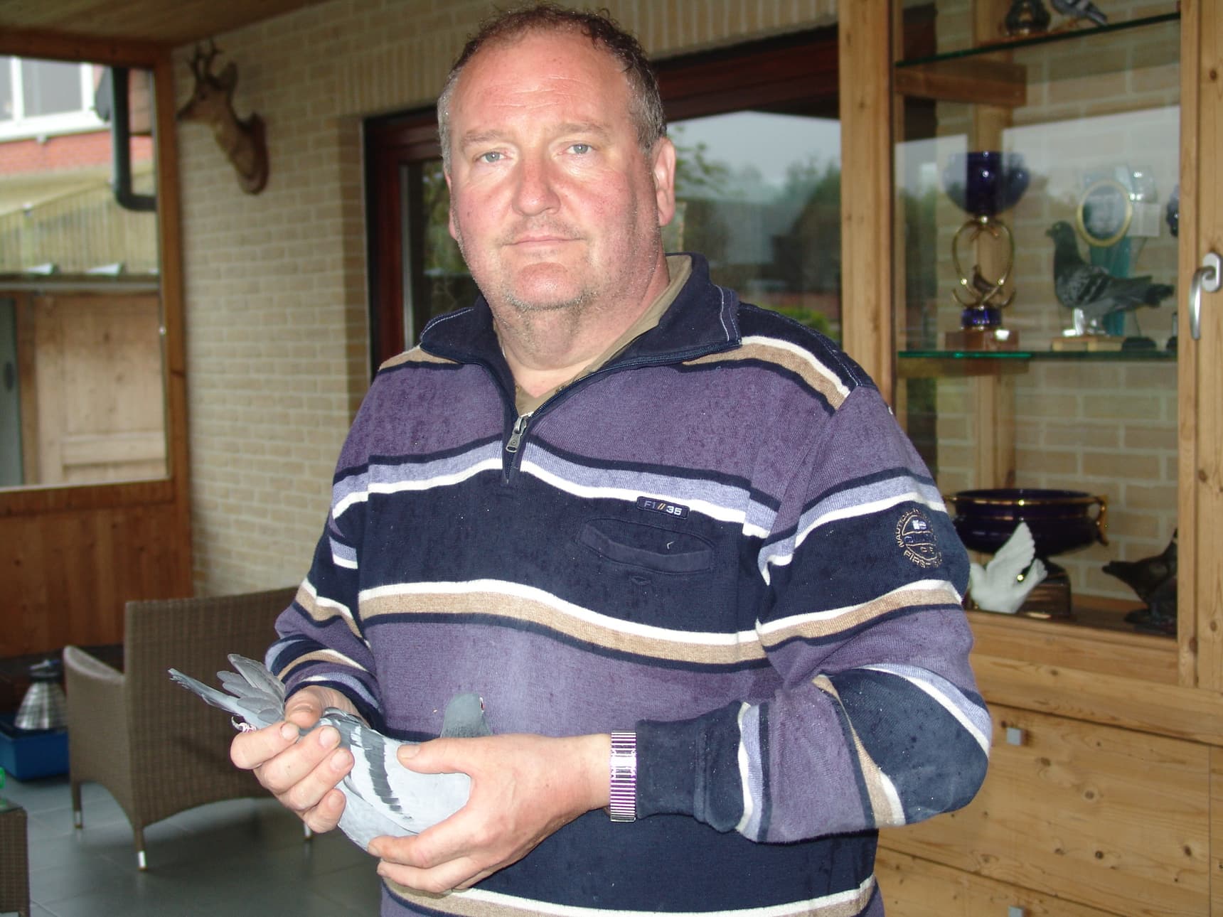 Pigeon Bids Dirk Van Dyck March 2023 - Part I