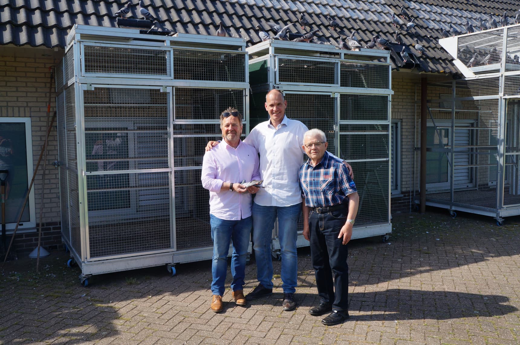 穆勒网络限时拍卖会：哈利珍藏版