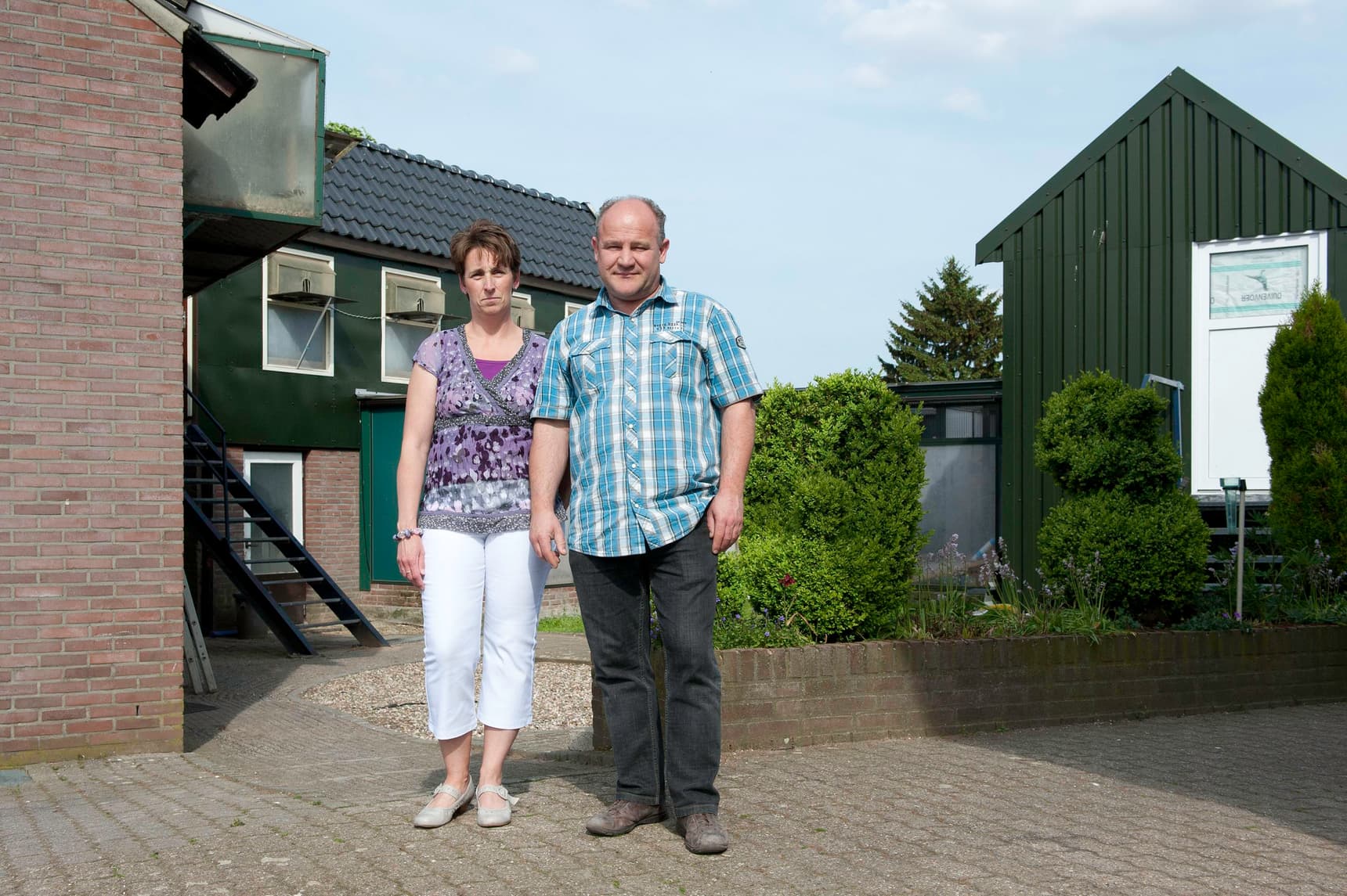 Pigeon Bids Hermans Huub - Nov. 2021