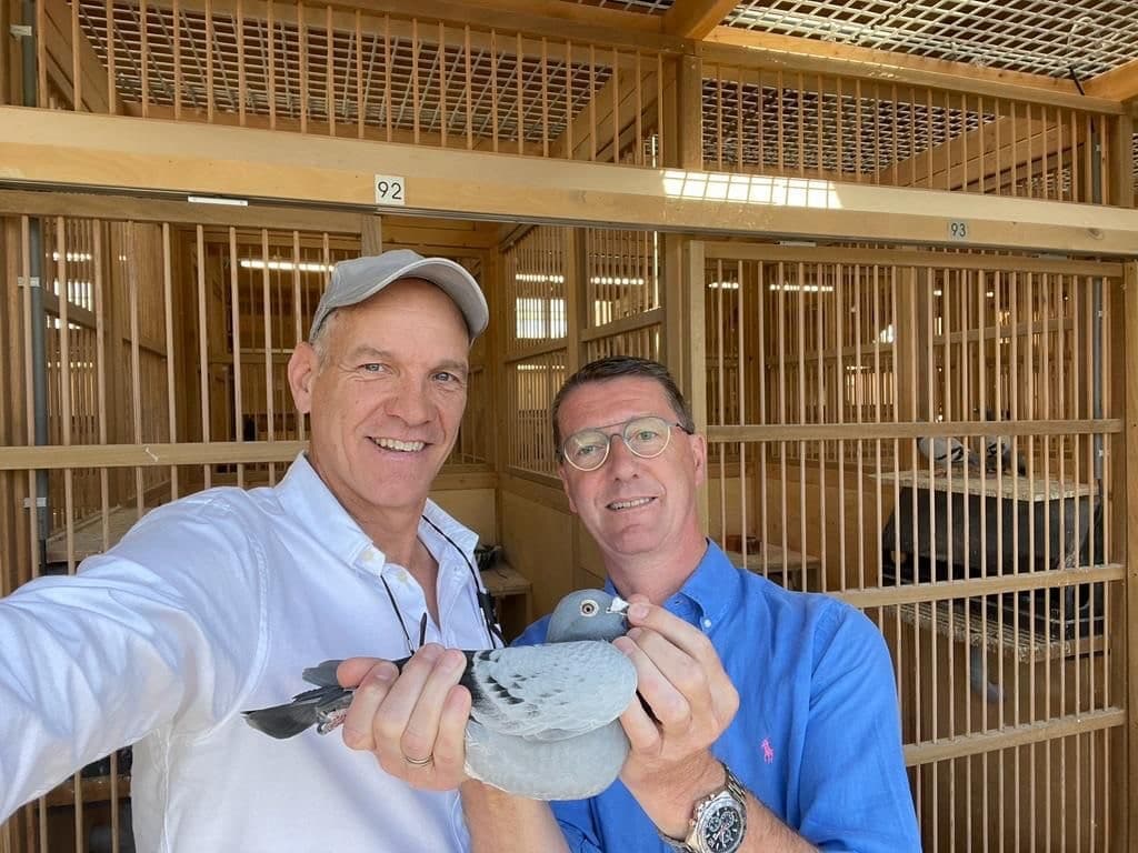 Pigeon Bids Jan Hooymans Collection