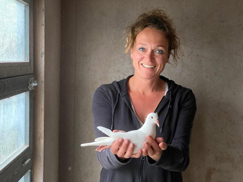 Pigeon Bids Noorderijk Esther