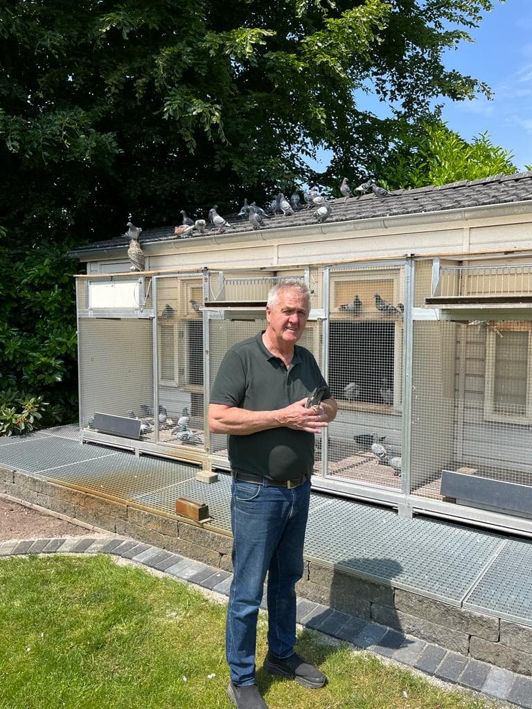 Pigeon Bids "Team Patagoon Zuid" -  the best Willem de Bruijn loft world-wide.