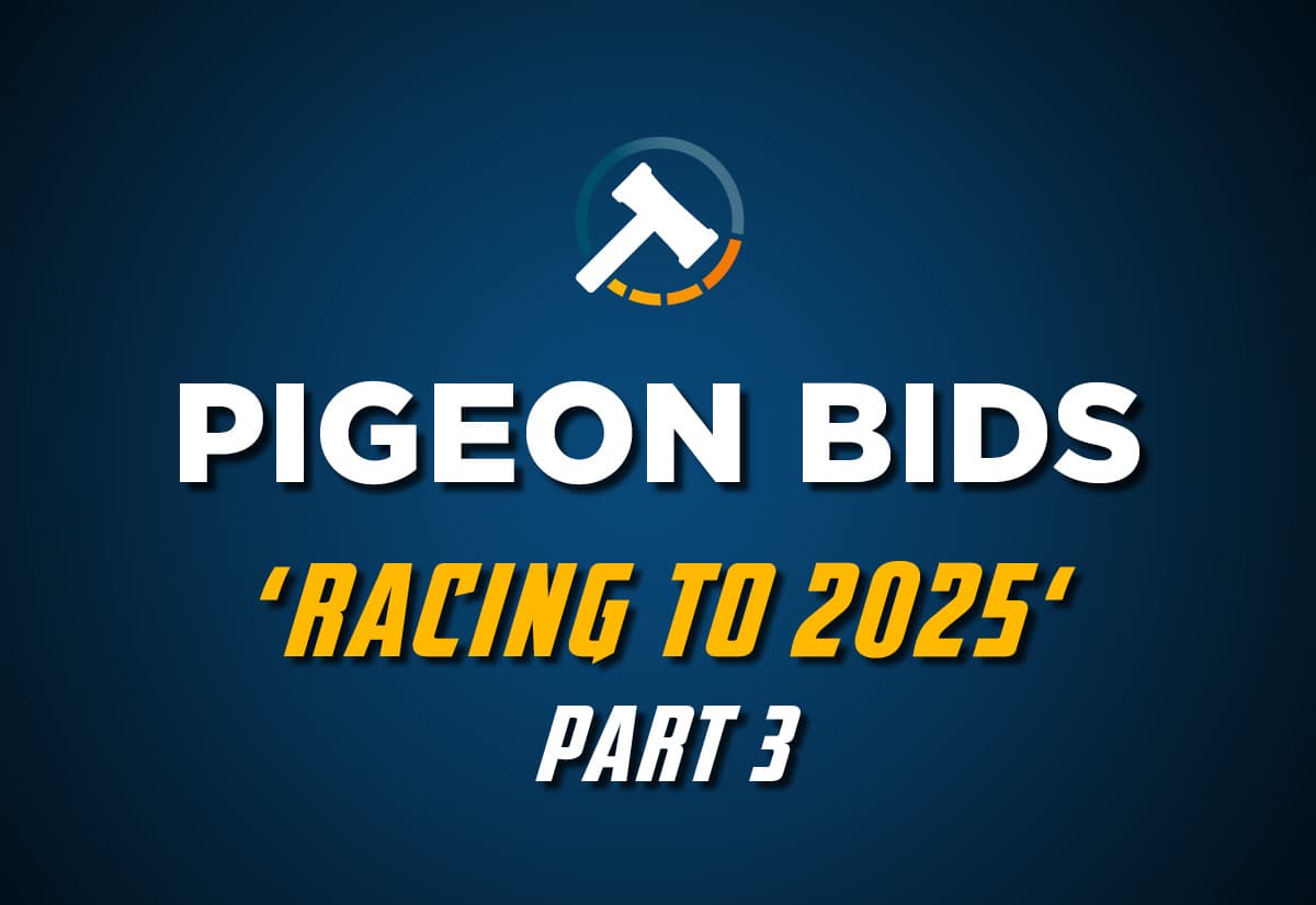 Pigeon Bids Racing to 2025 - Part 3