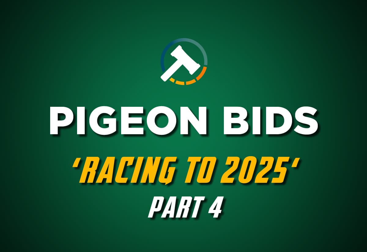Pigeon Bids Racing to 2025 - Part 4