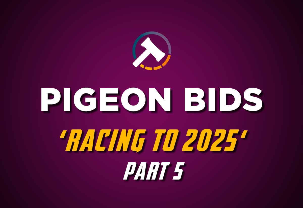 Pigeon Bids Racing to 2025 - Part 5