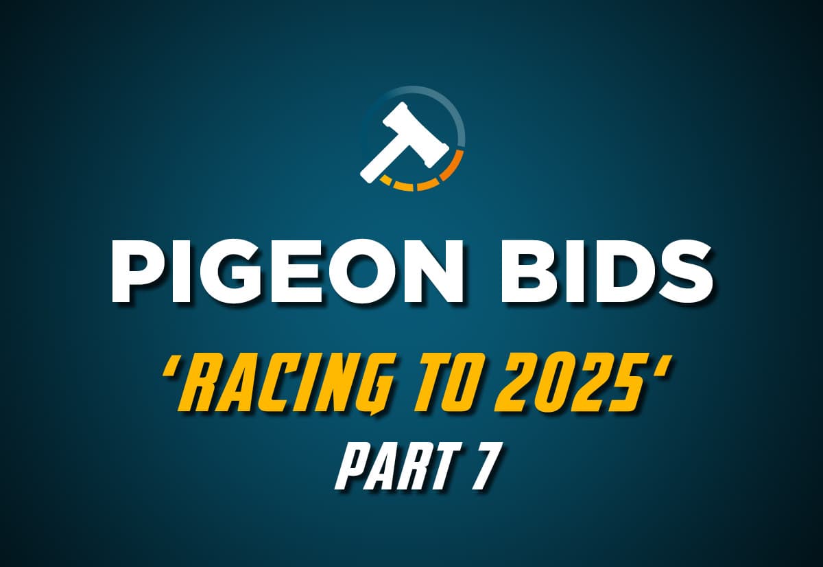 Pigeon Bids Racing to 2025 - Part 7