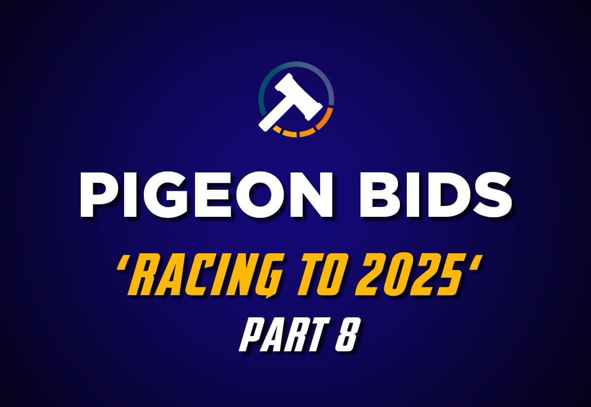 Pigeon Bids Racing to 2025 - Part 8