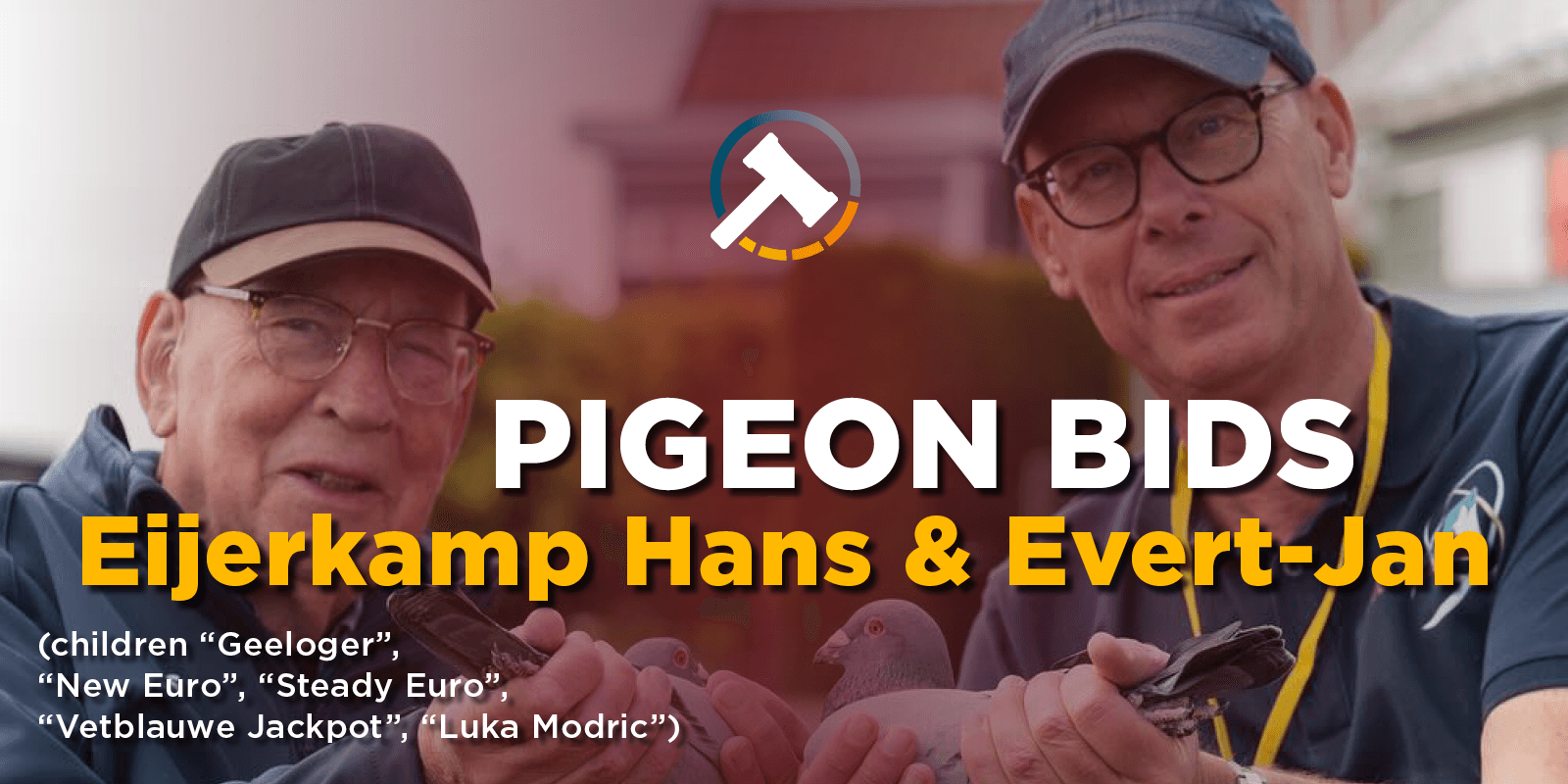 Pigeon Bids Eijerkamp Hans & Evert-Jan Collection