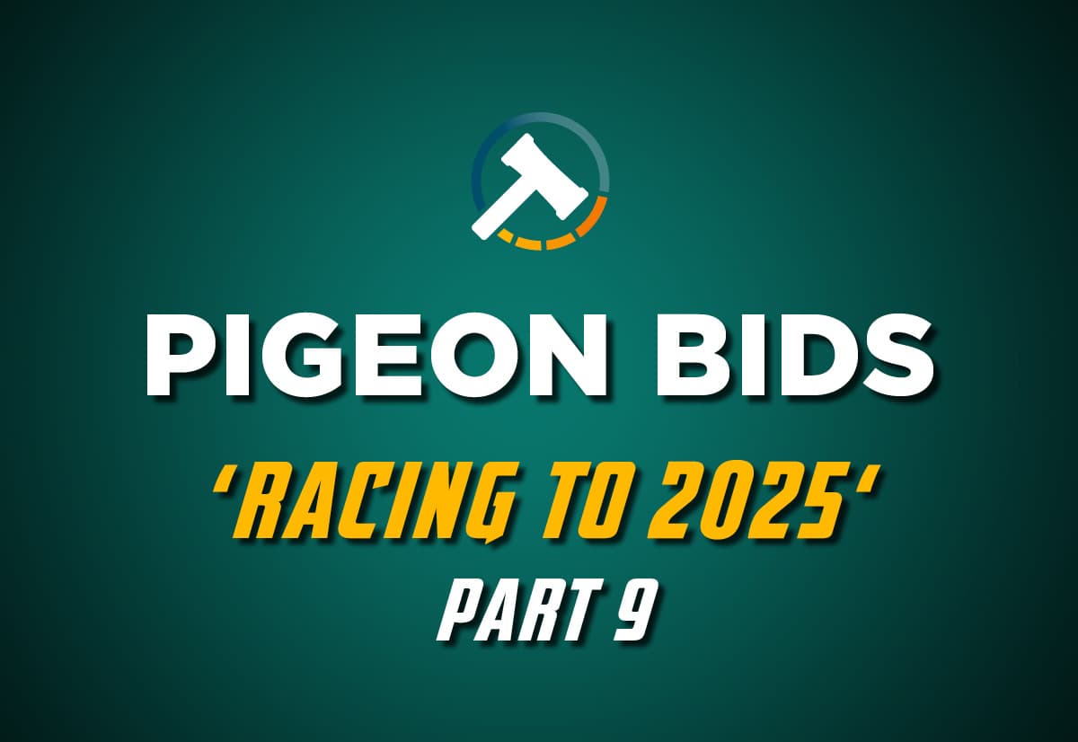 Pigeon Bids Racing to 2025 - Part 9