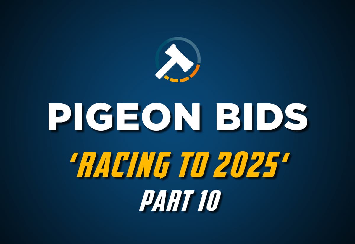 Pigeon Bids Racing to 2025 - Part 10