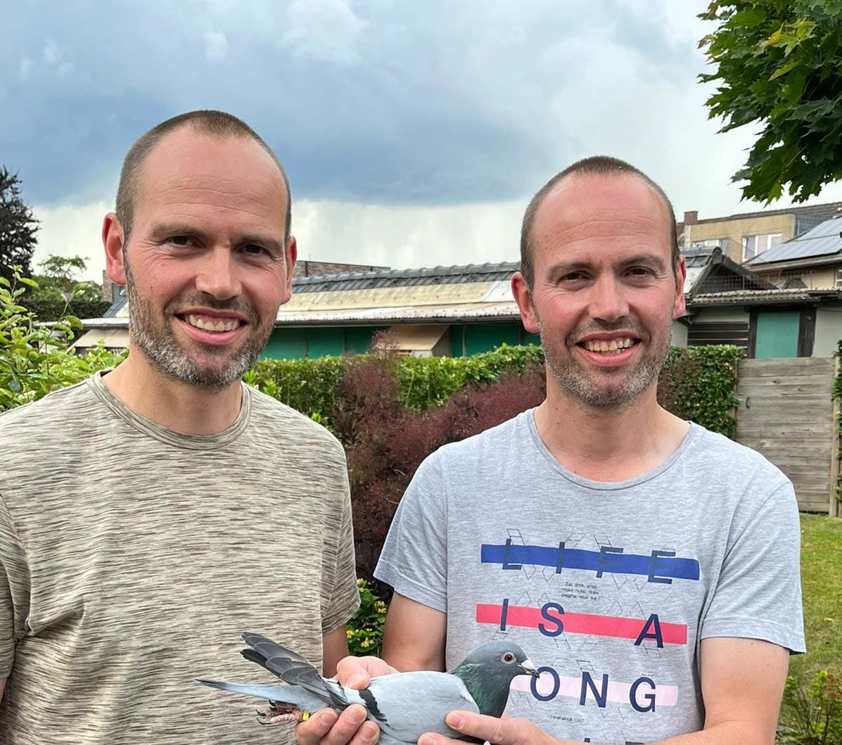 Pigeon Bids Platteau Ante & Tom 2024 - Part 1