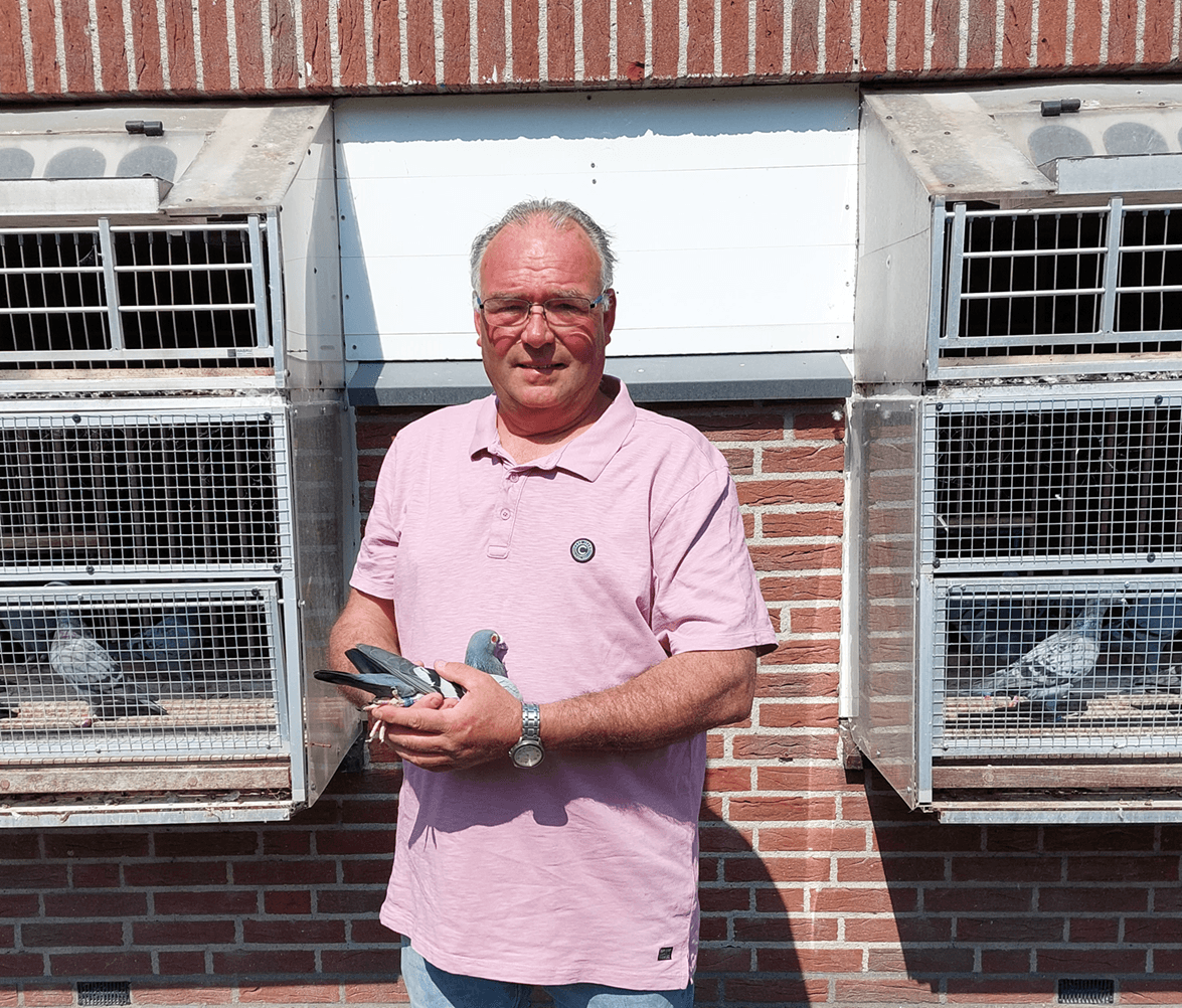 Andre Smits uit Zundert en zijn all round kolonie met meerdere provinciale winnaars