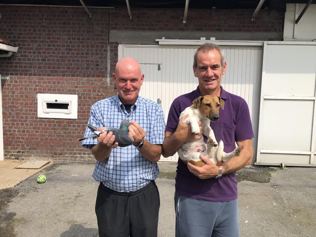 Van de Walle Marc & Franky from Zwalm ( Superstars with long distance pigeons in races from 300-900km )