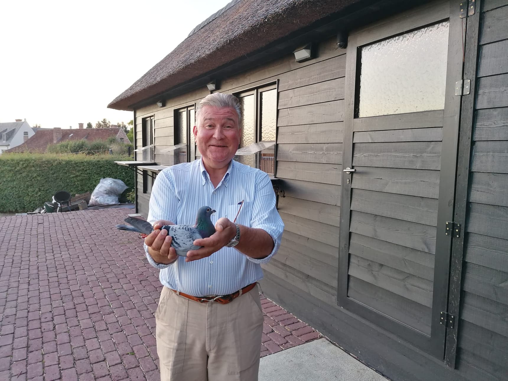 Pigeon Bids Bert Vanden Berghe