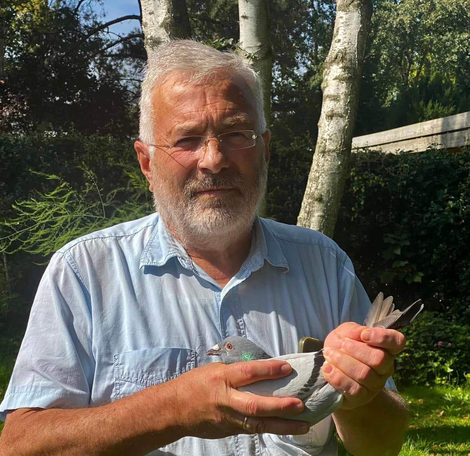 Pigeon Bids original Flanders Collection/Dirk Van den Bulck birds