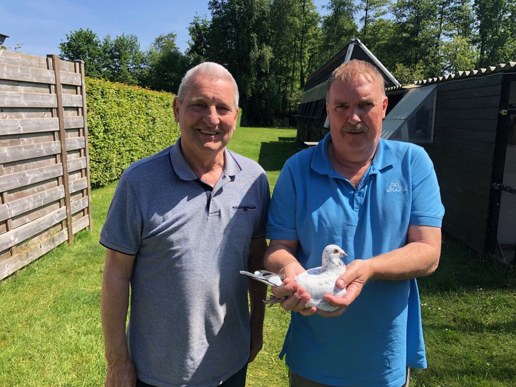 Verstraeten – Vierendeels from Zonhoven have a family of winners