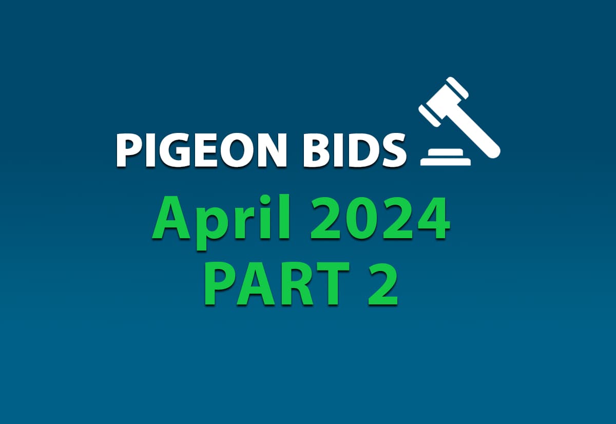 Pigeon Bids April 2024 - Part 2