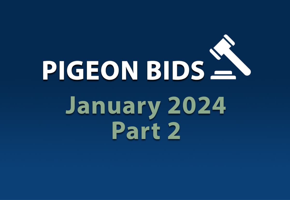 1月第二场网络限时拍卖会