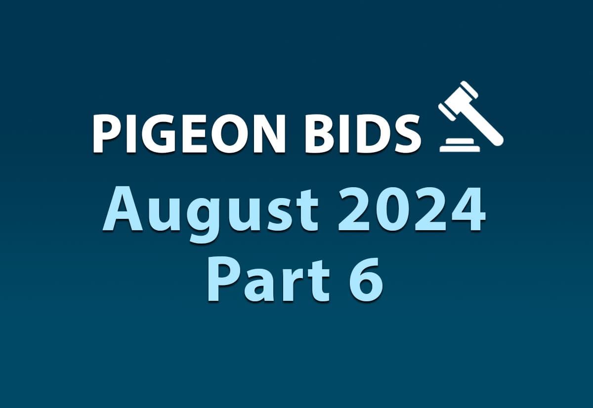Pigeon Bids August 2024 Part 6