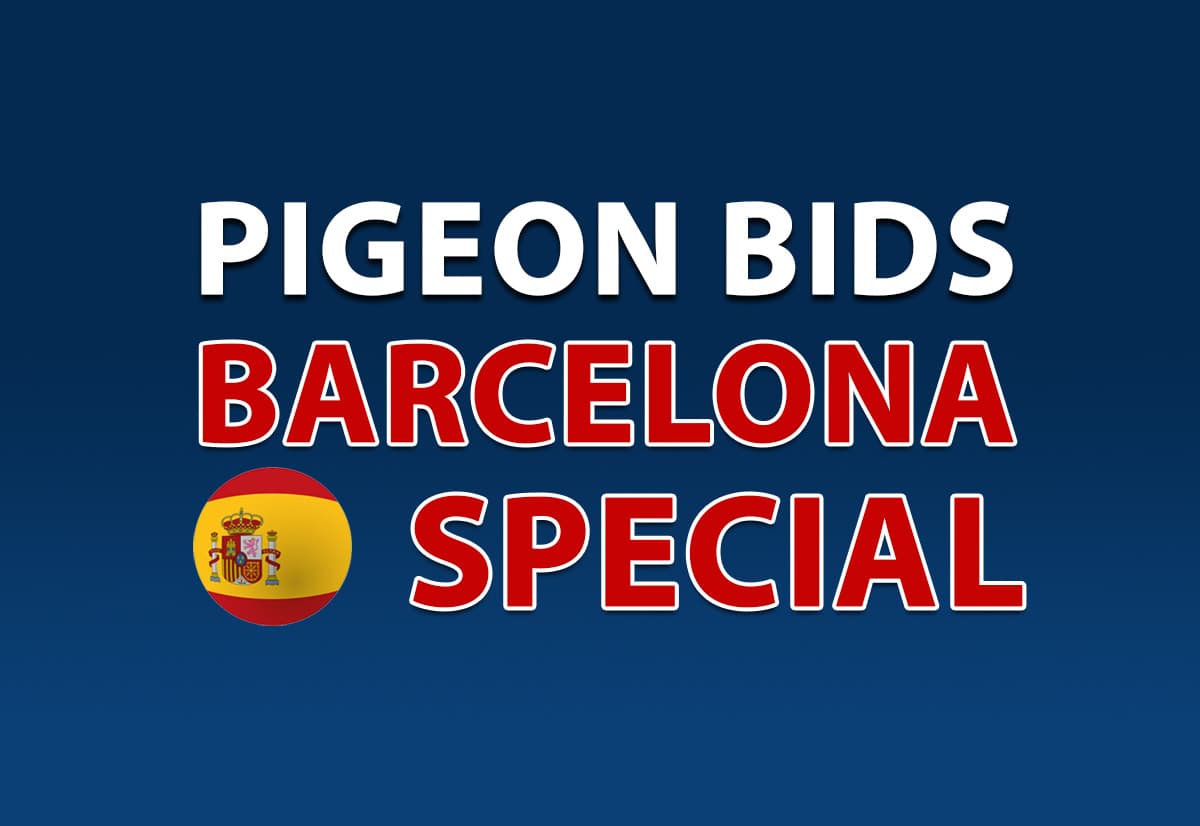 Pigeon Bids Barcelona Special