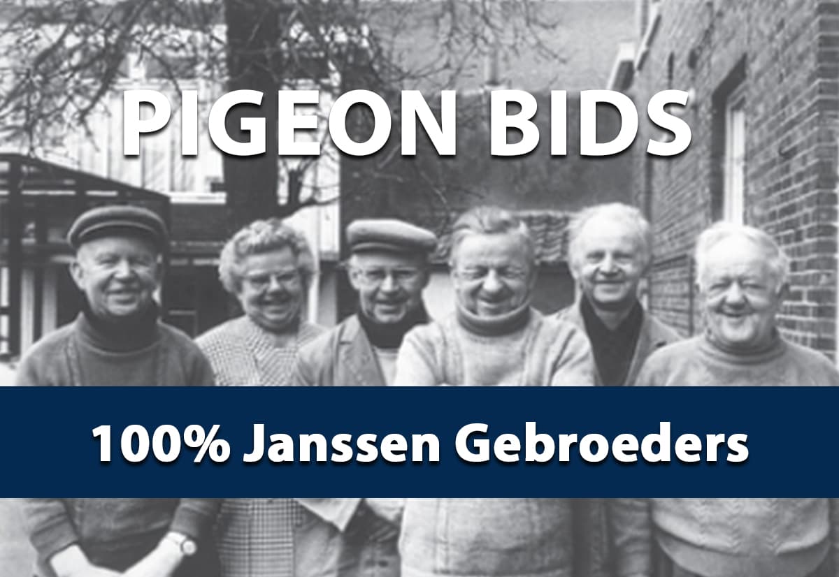 Pigeon Bids 100% Janssen Gebroeders - September 2024