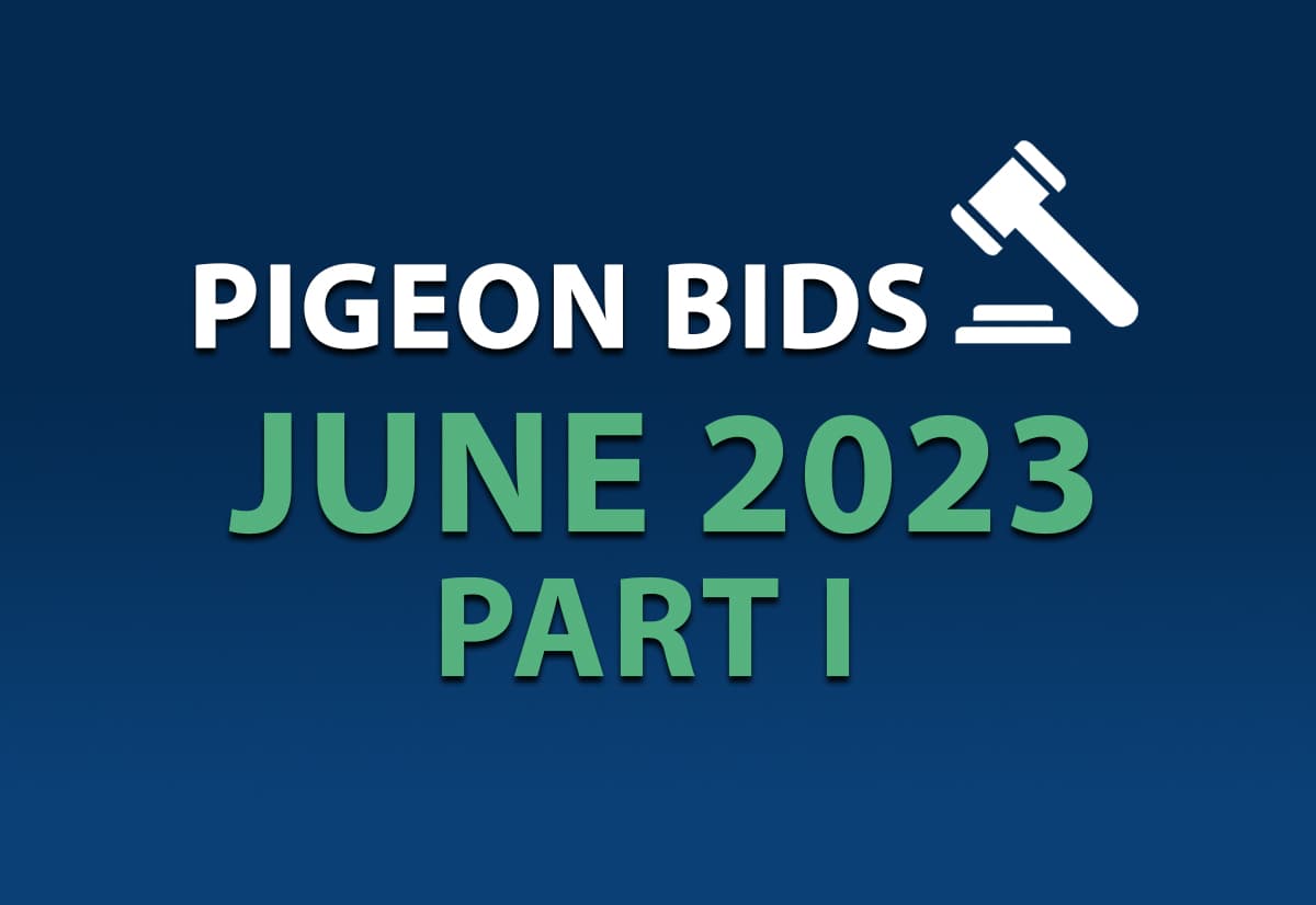 Pigeon Bids June 2023 - Part I