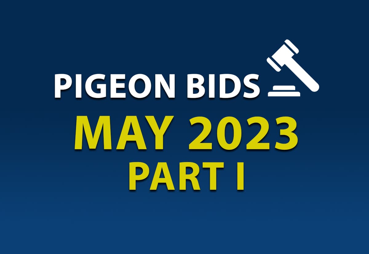 Pigeon Bids May 2023 - Part I