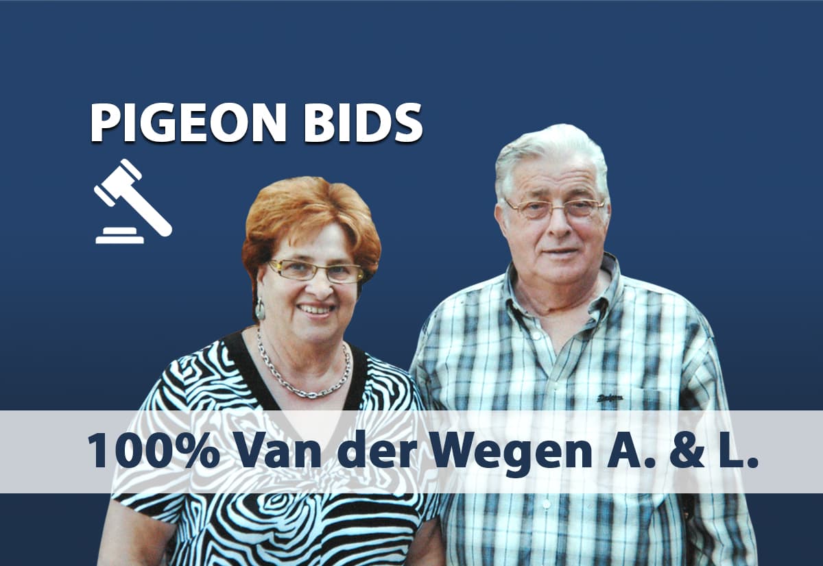 Pigeon Bids 100% Van der Wegen A. & L.
