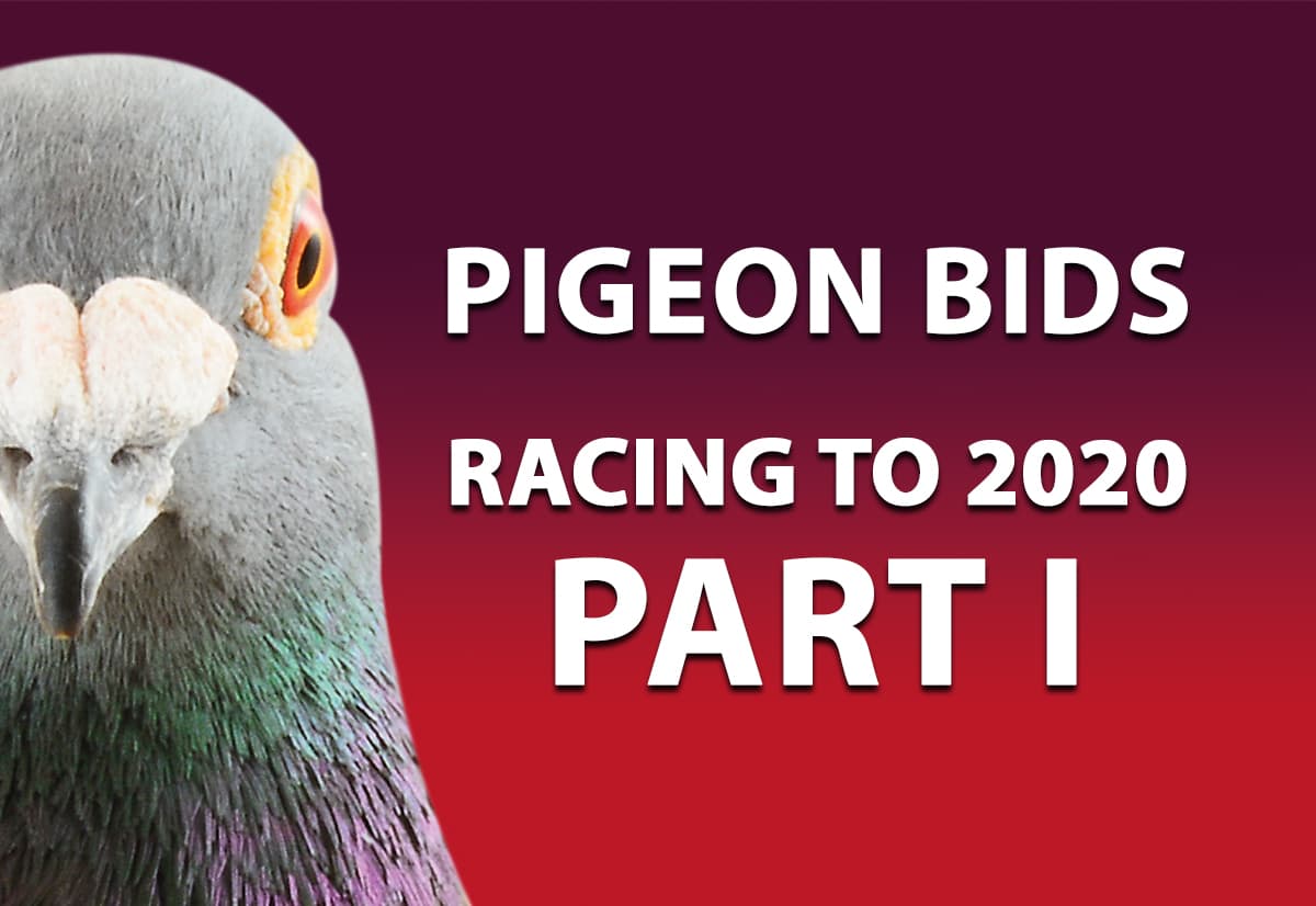 2020年欧洲冠军鸽舍大全拍卖会第一场 （北京时间晚上8点结束）