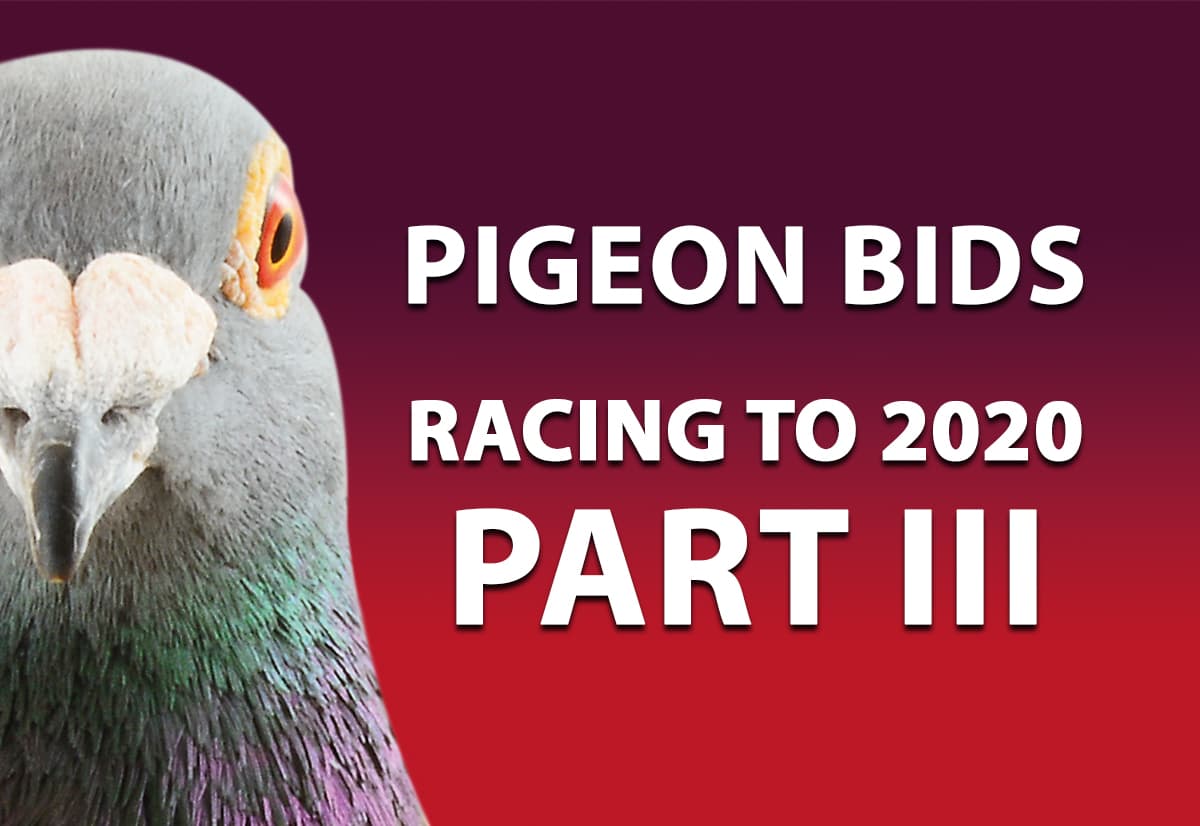 2020年欧洲冠军鸽舍大全拍卖会第三场 (北京时间晚上8点结束)