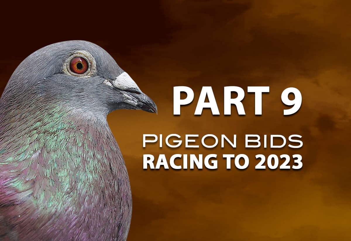 Pigeon Bids Racing to 2023 - Part 9