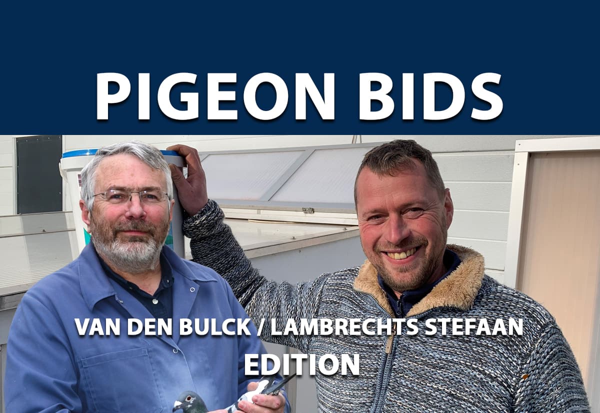 范顿布鲁克-蓝布瑞契网络限时拍卖会