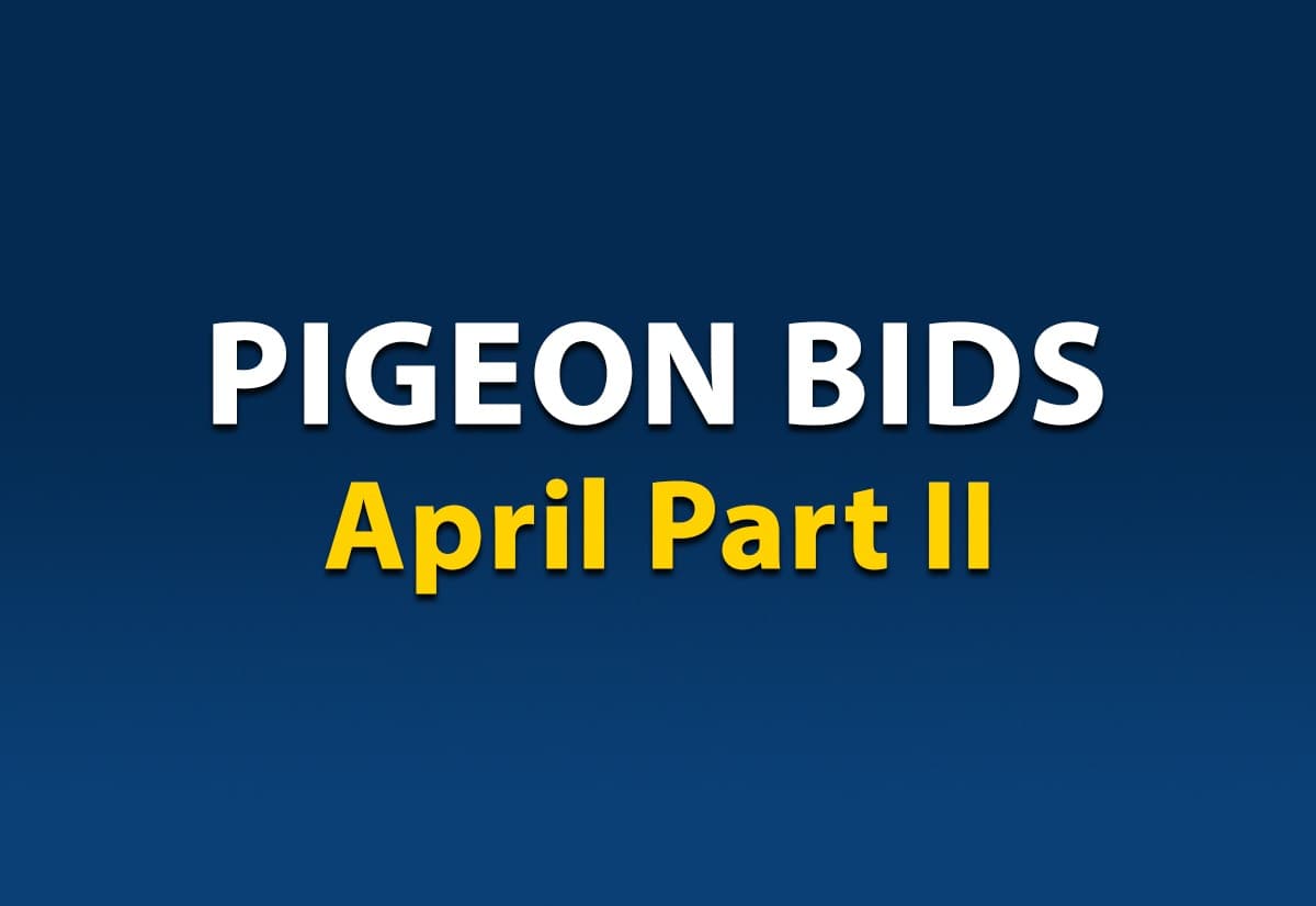 Pigeon Bids April 2021 - Part II