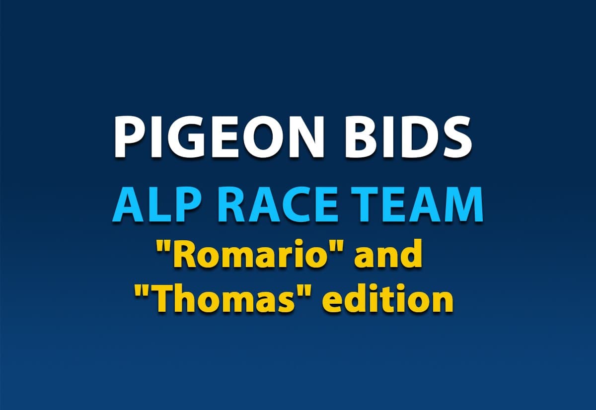Pigeon Bids Alp Race Team "Romario" & "Thomas" edition April 2025