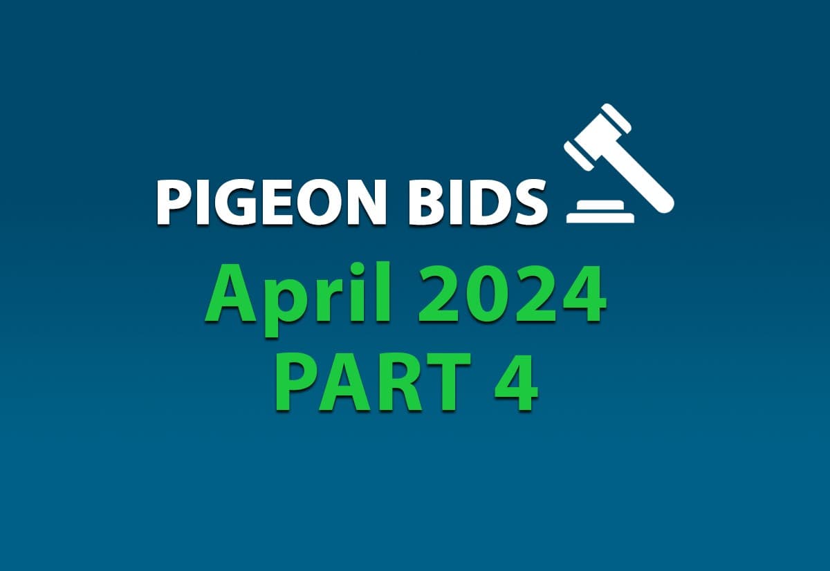 Pigeon Bids April 2024 - Part 4