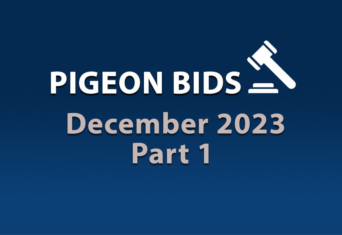 Pigeon Bids December 2023 - Part 1