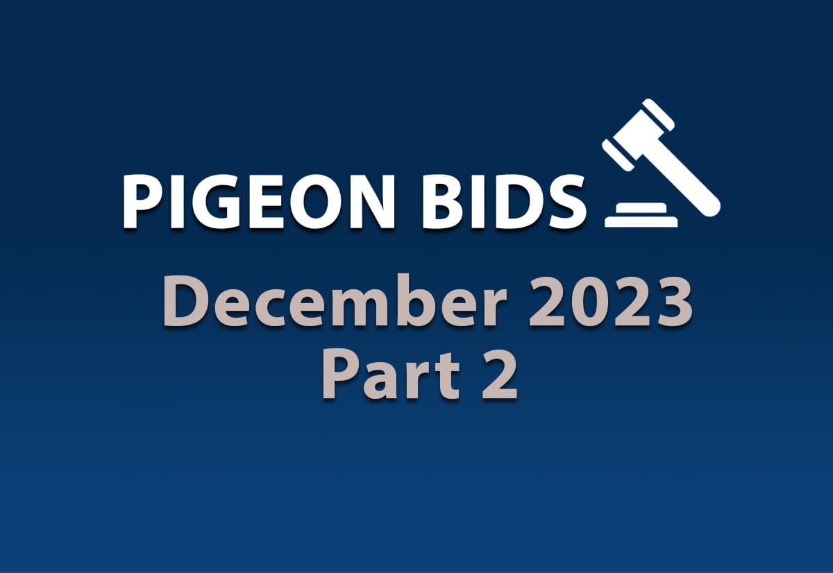 Pigeon Bids December 2023 Part 2