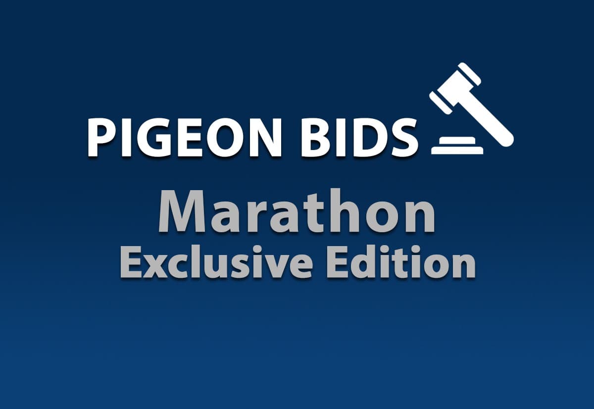 Pigeon Bids Marathon  Exclusive Special