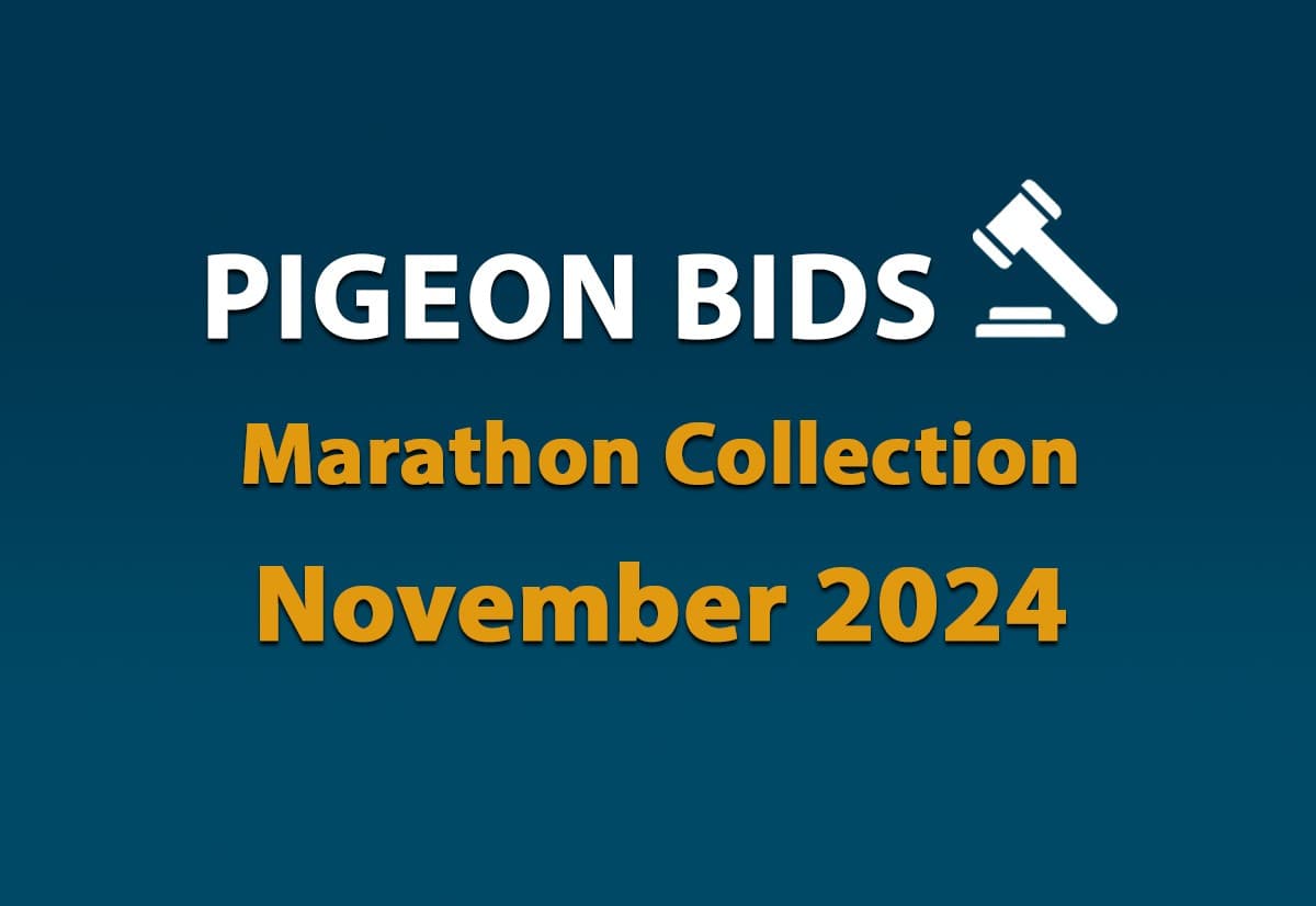Pigeon Bids Marathon Collection November 2024