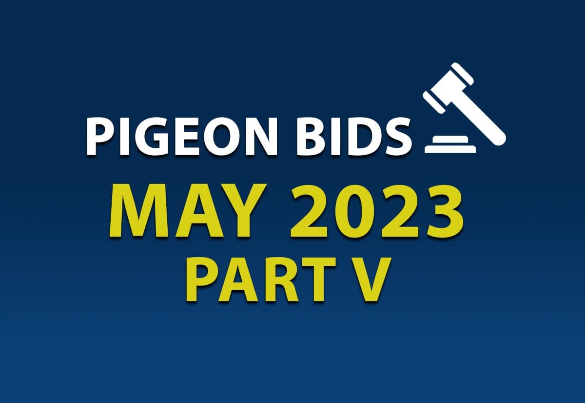 5月第五场网络限时拍卖会