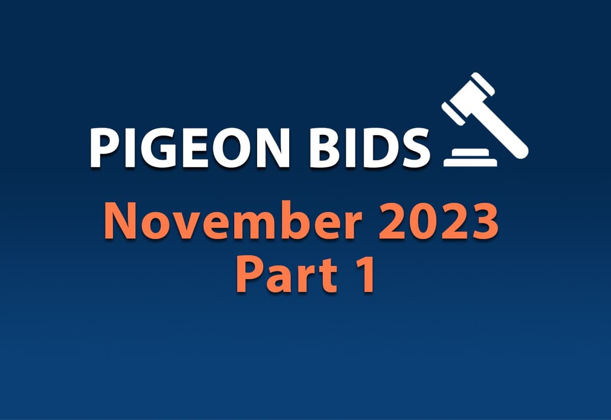 Pigeon Bids November 2023 - Part 1
