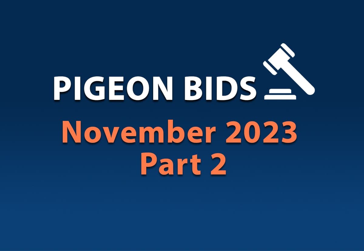 11月第二场网络限时拍卖会