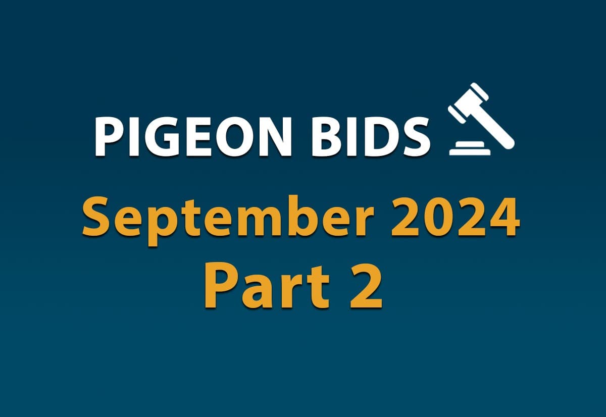 Pigeon Bids September 2024 - Part 2