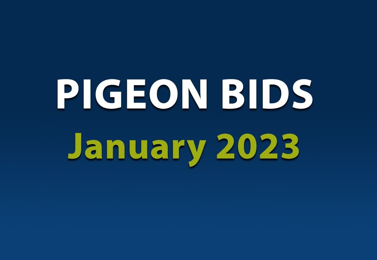 Pigeon Bids January 2023