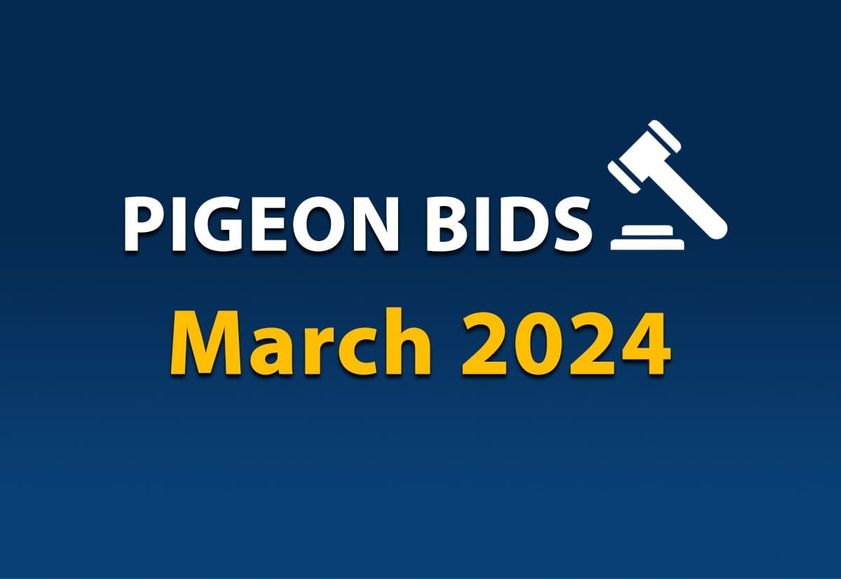Pigeon Bids March 2024