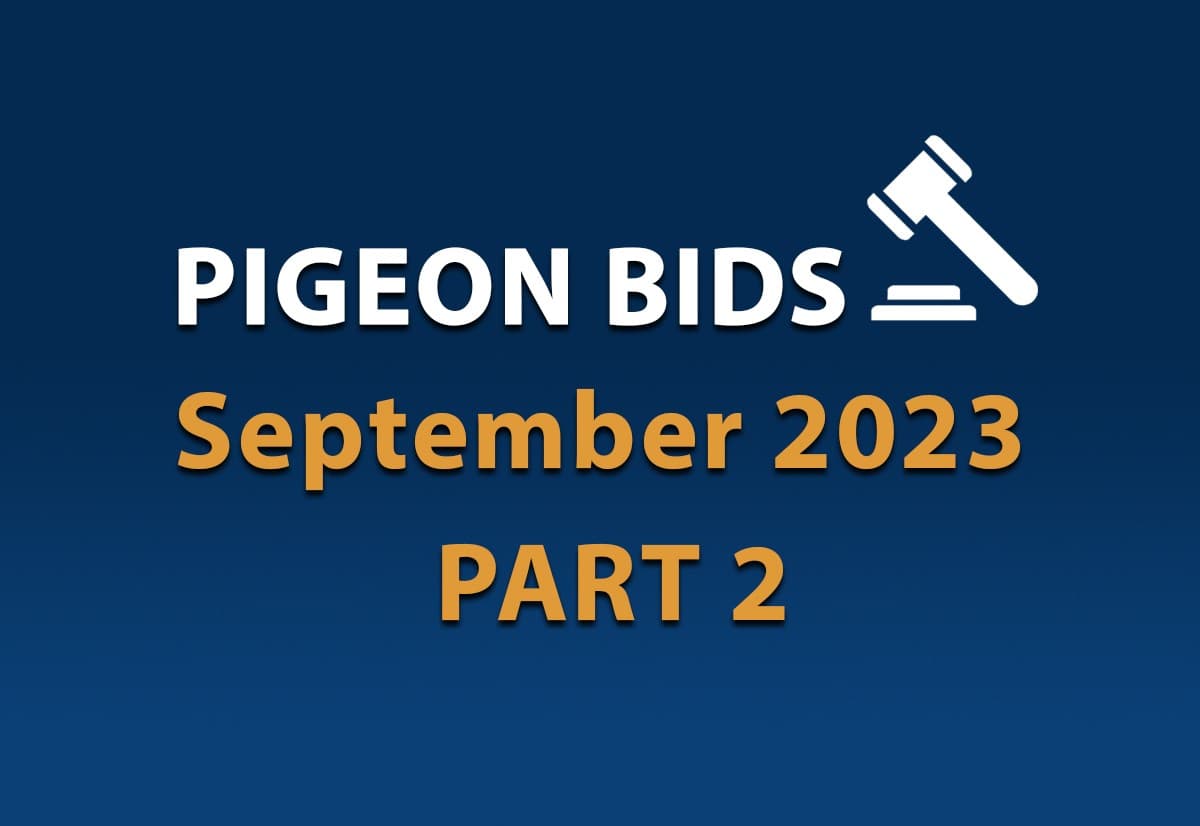 Pigeon Bids September 2023 - Part 2