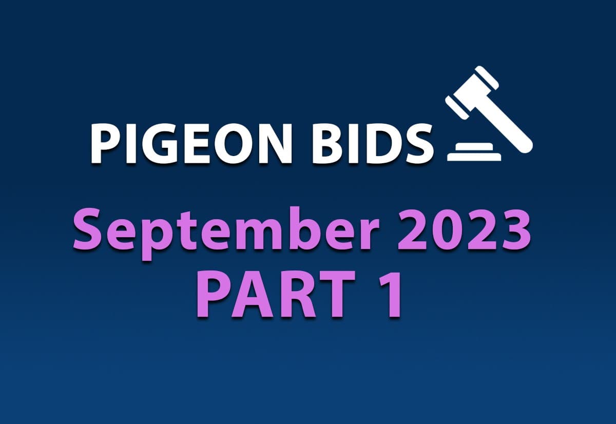 Pigeon Bids September 2023 - Part 1